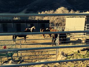 hsN8HFmnQ84tFaU7xGT40t6yO6LvjnzodaQjFteTzcc