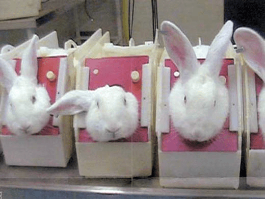 2013-07-12-deslapinOneVoice