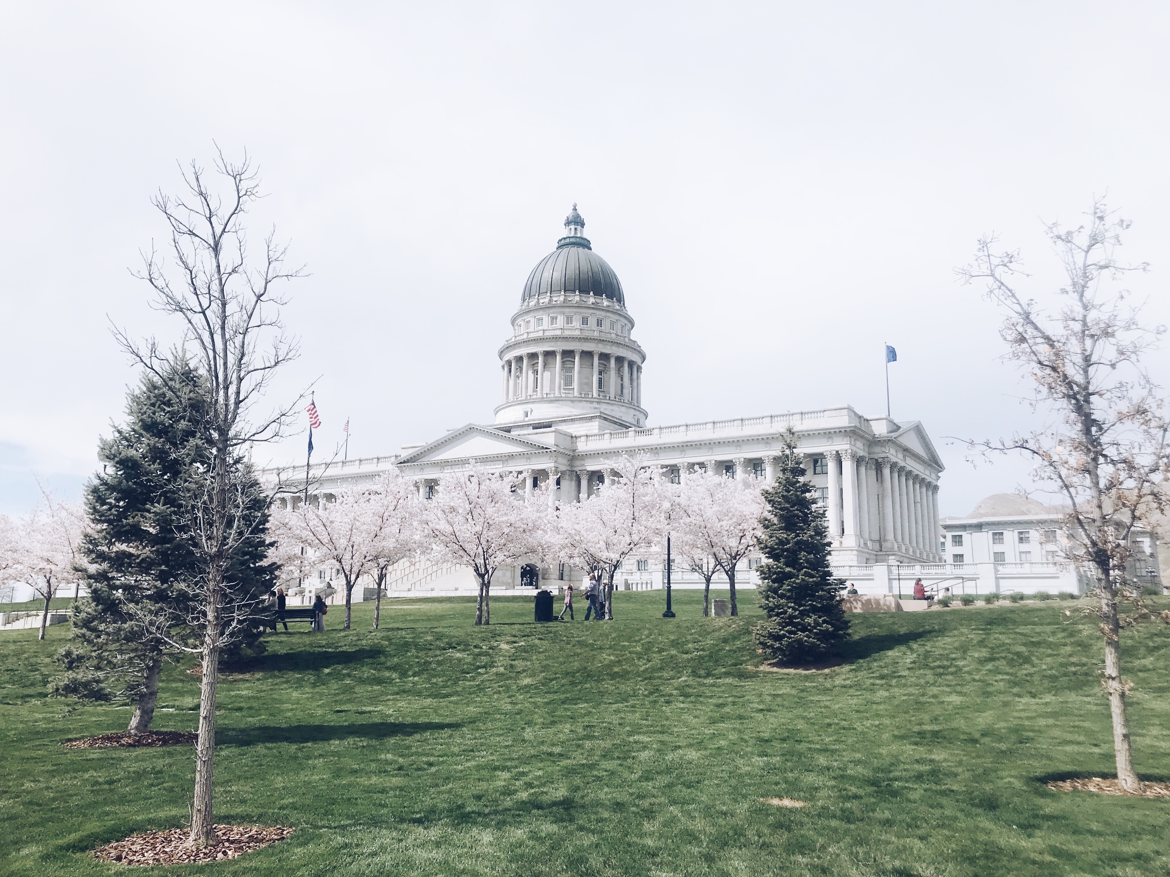 Processed with VSCO with a5 preset